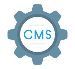 CMS & Plugin Updates