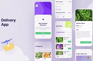 Softhunters Technology Pvt. Ltd. Delivery Anything App
