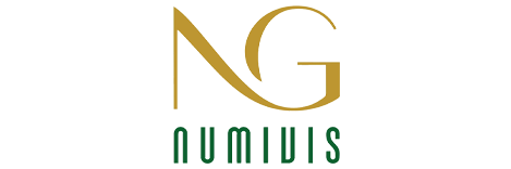 Numivis-2.png